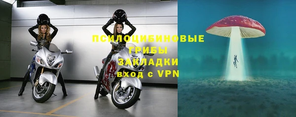 стафф Каменка